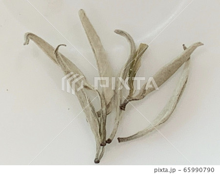 植物 拡大 クローズアップ 65990790