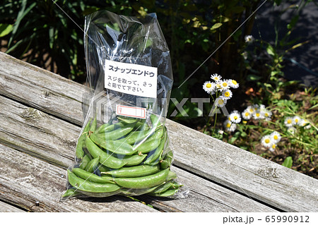 スナップエンドウ 65990912