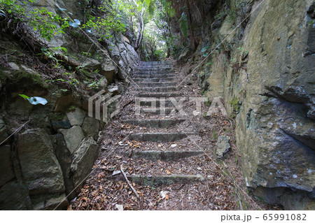広島県竹原市 大久野島 北部砲台 観測所跡への道 広島県竹原市 大久野島 北部砲台 観測所跡への道 65991082