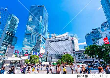 東京　渋谷　スクランブル交差点 65991529