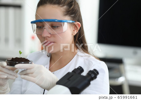Laboratory assistant holds germ near microscope Laboratory assistant holds germ near microscope 65991661