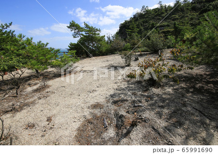 広島県竹原市 大久野島 北部砲台 観測所跡 広島県竹原市 大久野島 北部砲台 観測所跡 65991690