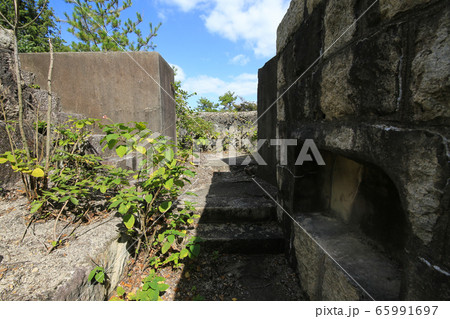 広島県竹原市 大久野島 北部砲台 観測所跡 広島県竹原市 大久野島 北部砲台 観測所跡 65991697
