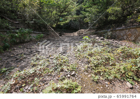 広島県竹原市 大久野島 北部砲台 二十四センチ加農砲砲台跡 広島県竹原市 大久野島 北部砲台 二十四センチ加農砲砲台跡 65991764