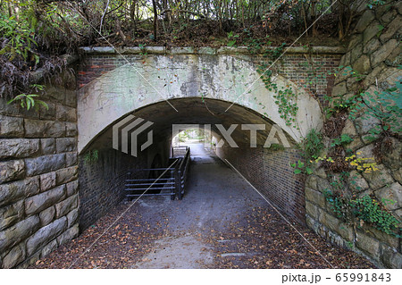 広島県竹原市 大久野島 北部砲台 トンネル 広島県竹原市 大久野島 北部砲台 トンネル 65991843