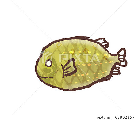 R メルヘンなかわいい深海魚 マツカサウオ１のイラスト素材