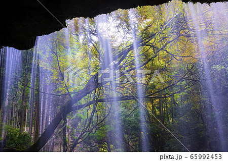 熊本県小国町 紅葉が美しい鍋ヶ滝の写真素材 [65992453] - PIXTA
