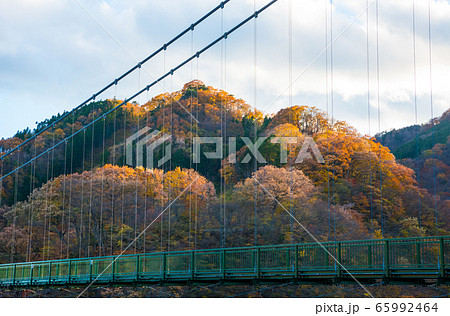 塩原渓谷 もみじ谷大吊橋と紅葉風景 秋 （栃木県那須塩原市） 2019年11月 65992464