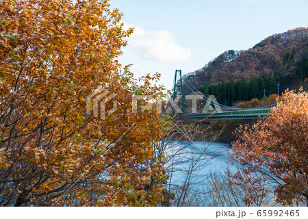 秋の塩原渓谷 もみじ谷大吊橋と紅葉風景 （栃木県那須塩原市） 2019年11月 65992465