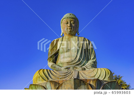 新生大仏 新生大仏 65993603