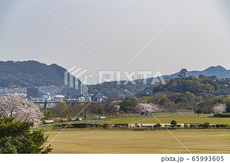 木曽川河川敷から見る犬山城と御嶽山 木曽川河川敷から見る犬山城と御嶽山 65993605