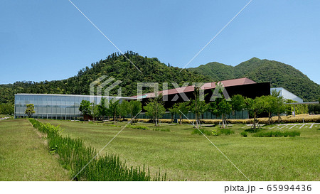 古代出雲歴史博物館 古代出雲歴史博物館 65994436