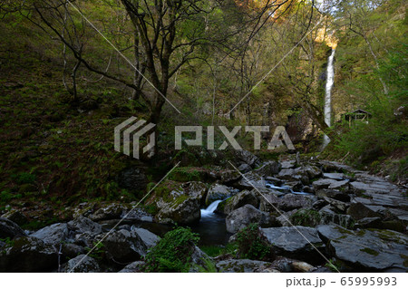 阿弥陀ヶ滝より 65995993