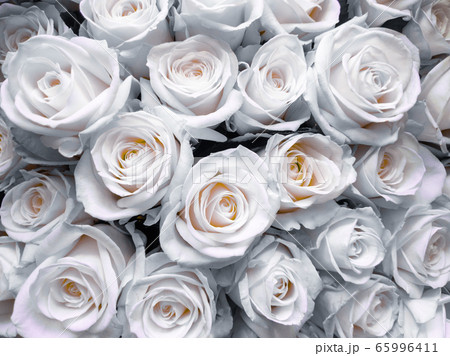 White roses close-up, a bouquet of flowers for Mother's Day. Wedding events and other holidays. Flat lay.. 65996411