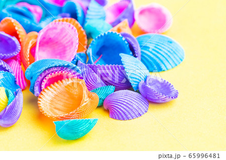 夏イメージ カラフルな貝殻 夏イメージ カラフルな貝殻 65996481