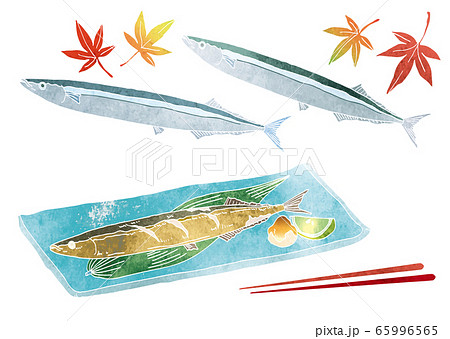 さんまの焼き魚と紅葉の素材イラスト 水彩 のイラスト素材
