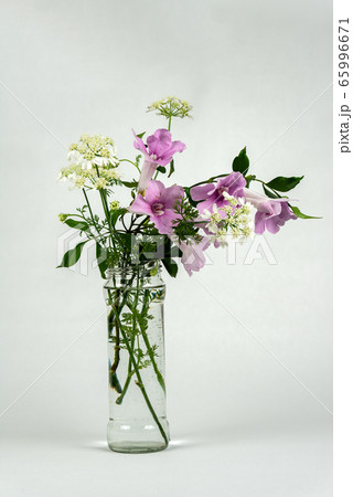 花瓶に生けた花 花瓶に生けた花 65996671