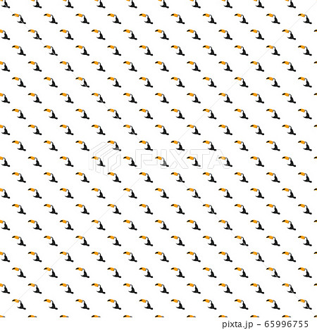 オオハシ　パターン 65996755