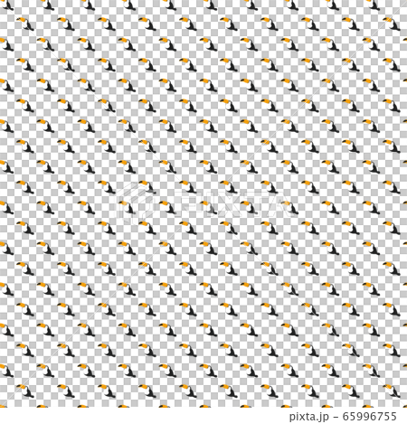 オオハシ　パターン 65996755