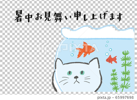 Cat and fishbowl _ summer visit _ side 65997698