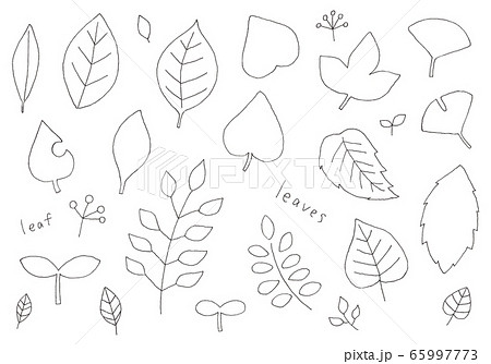 細ペンでラフに描いた葉っぱのイラストセットのイラスト素材