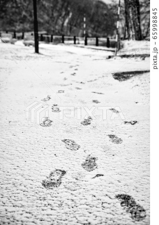 雪 足跡 雪 足跡 65998845