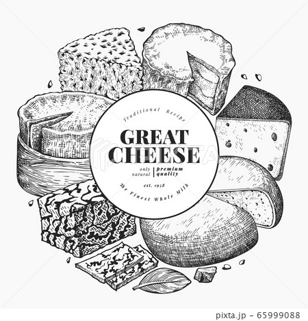 Cheese design template. Hand drawn vector dairy 65999088
