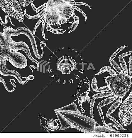 Seafood design template. Hand drawn vector seafood 65999238