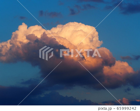 夕日に染まる積雲 積雲 夕日に染まる積雲 積雲 65999242