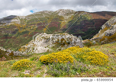 Spring landscape in the Somiedo national park, Spring landscape in the Somiedo national park, 65999954