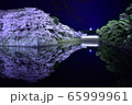 彦根城桜のライトアップ 65999961