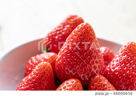 いちご (とちおとめ) いちご (とちおとめ) 66000656