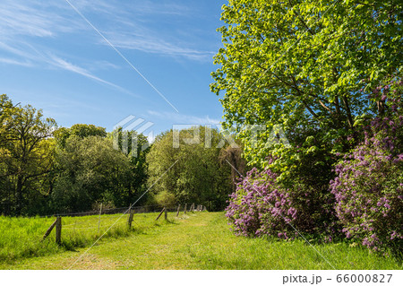Landscape with field and trees near Kuchelmiss, Landscape with field and trees near Kuchelmiss, 66000827