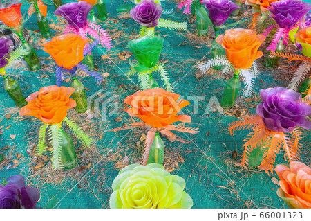 Recycled colorful plastic flowers made from plastic bottles to decorate as flowers in the garden. Plastic bottle recycled. Recycled colorful plastic flowers made from plastic bottles to decorate as flowers in the garden. Plastic bottle recycled. 66001323