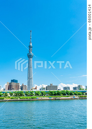 東京の夏 入道雲とスカイツリーの都市風景 東京の夏 入道雲とスカイツリーの都市風景 66001414