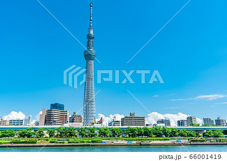 東京の夏 入道雲とスカイツリーの都市風景 66001419