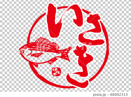 崎I崎刷字符 66002313