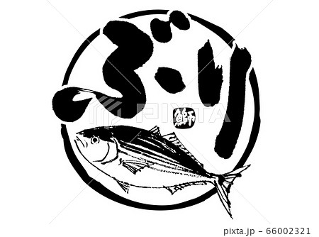 ぶり 鰤 筆文字 水彩画のイラスト素材