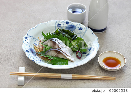しめ鯖 しめ鯖 66002538