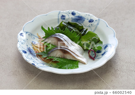 しめ鯖 しめ鯖 66002540