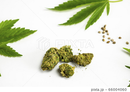 Close-up of medical marijuana buds, hemp seeds and 66004060