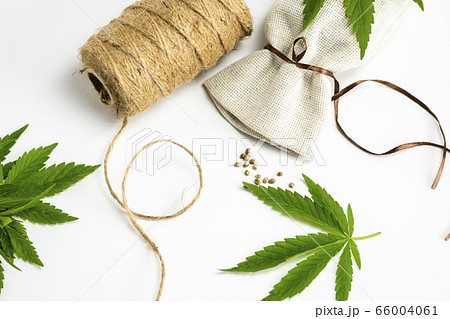 Hemp thread, medical marijuana leaves and seeds, Hemp thread, medical marijuana leaves and seeds, 66004061