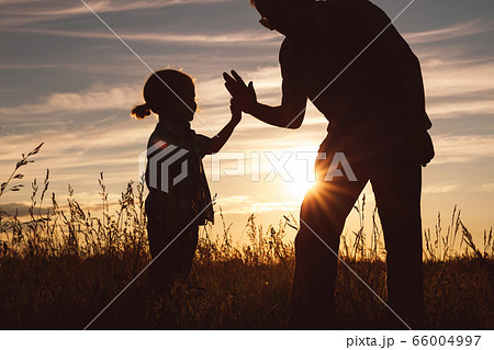 Father and son playing in the park at the sunset 66004997