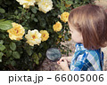 Happy little boy exploring nature with magnifying 66005006
