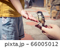 little boy is playing with a chick at the day 66005012