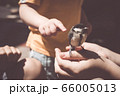 little boy is playing with a chick at the day 66005013