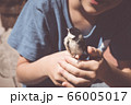little boy is playing with a chick at the day 66005017