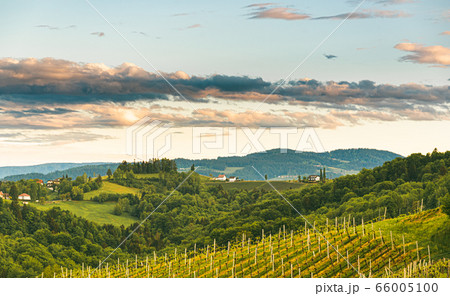 Gamlitz town in Austria Vineyards in Sulztal area 66005100