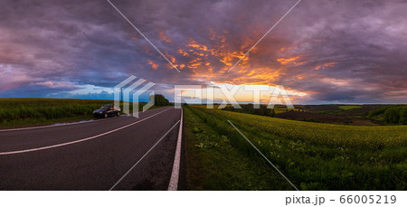 Spring sunset rapeseed yellow blooming fields and Spring sunset rapeseed yellow blooming fields and 66005219