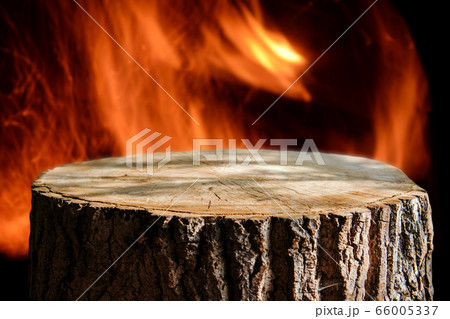 Empty tree trunk for display montags Empty tree trunk for display montags 66005337